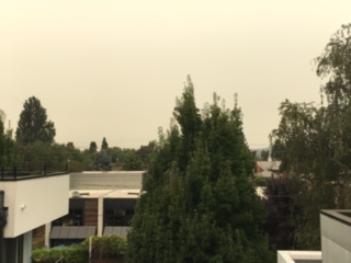 rooftop view toward seattle at 3pm