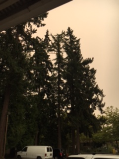 view from Bellevue at 9 am