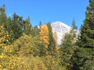 mt rainer