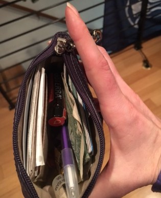 little-purse-open.jpg